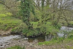skilly_downstream02
