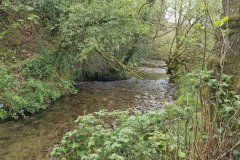 skilly_downstream03