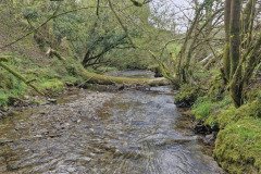 skilly_downstream04