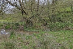 skilly_downstream05