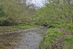 skilly_downstream06