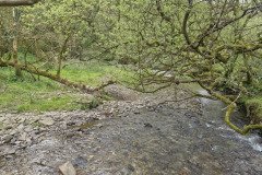 skilly_downstream07