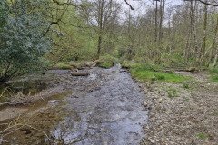 skilly_downstream08