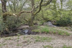 skilly_downstream10