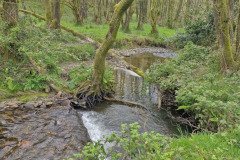 skilly_downstream11