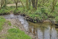 skilly_downstream12