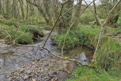 skilly_downstream13