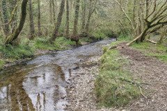skilly_downstream14