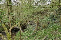 skilly_downstream15