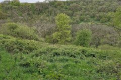skilly_downstream16