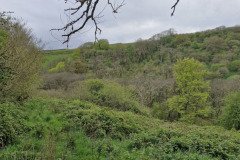 skilly_downstream17